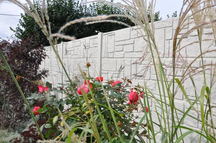 Weißer Betonzaun Motiv Marseille hinter einem Rosenbeet
